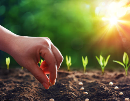 €100 Cultivador de Fe (Mensual)